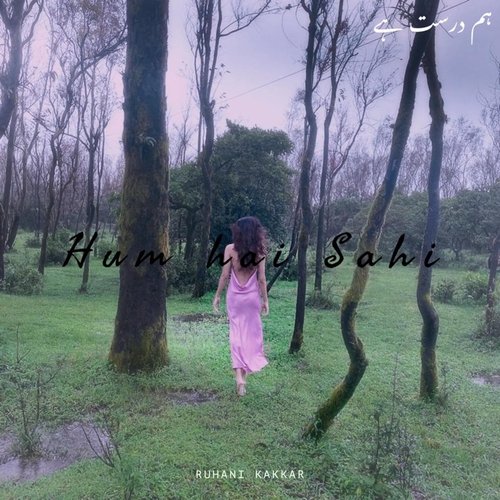 Hum Hai Sahi