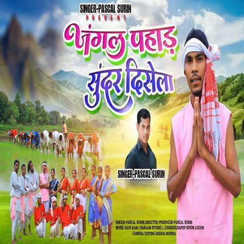 Jungle Pahad Sundar Disela