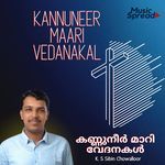 Kannuneer Maari Vedanakal artwork