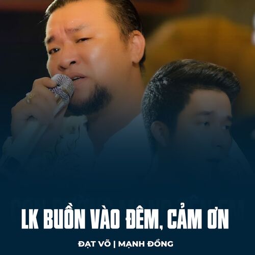 LK Buồn Vào Đêm, Cảm Ơn_poster_image