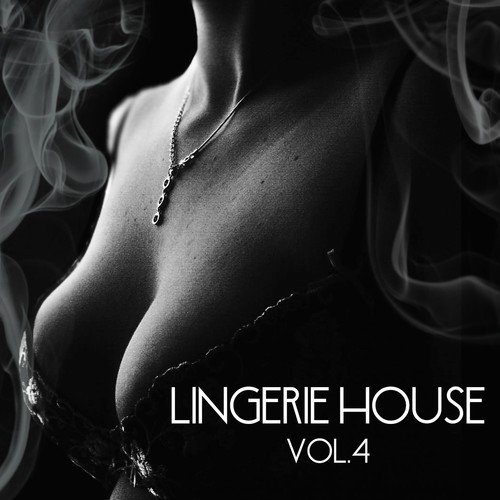Lingerie House, Vol. 4