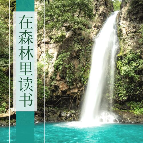 在森林里读书: 夏天大自然声音白噪声, 注意力集中背景音乐