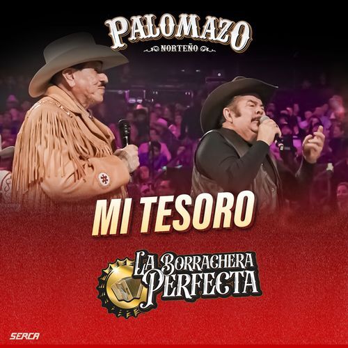 Mi Tesoro (En Vivo)