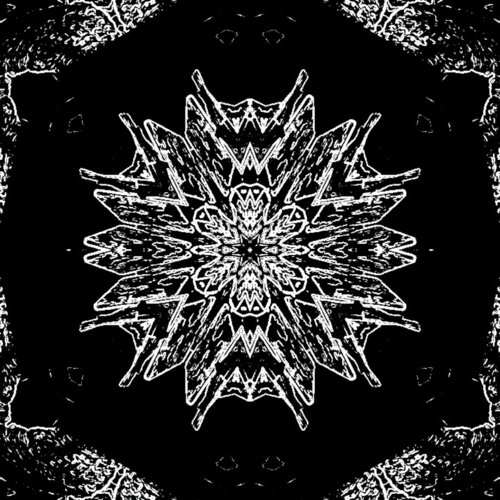 Regina cover art