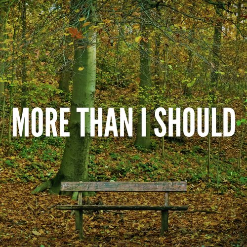 More Than I Should_poster_image