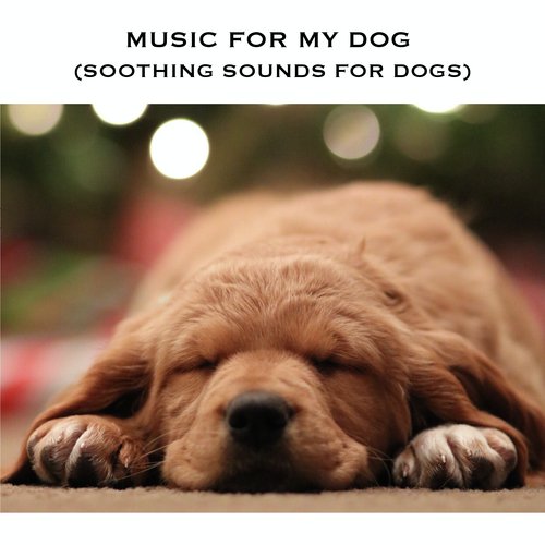 Music For My Dog (Soothing Sounds for Dogs)_poster_image