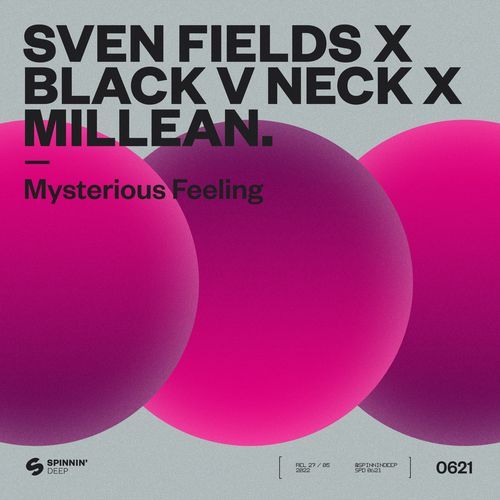 Mysterious Feeling (Extended Mix)_poster_image