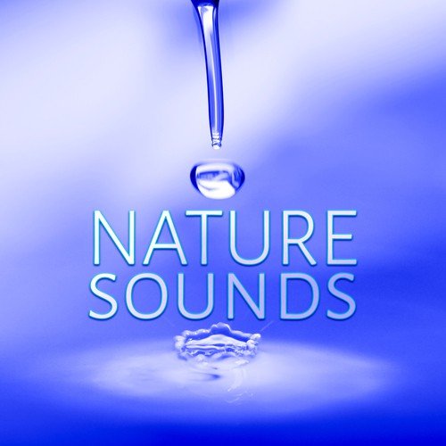 Nature Sounds - White Noise for Mindfullness Meditation, Sounds of Nature, Massage, Spa Music, Yoga
