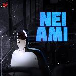 Nei Ami