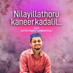 Nilayillathoru kaneer kadalil-KSADWRdAB38