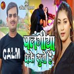 Palangiya Dhake Suto Hai