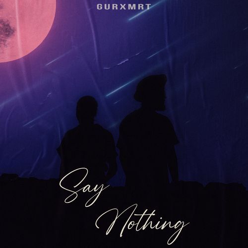 Say Nothing