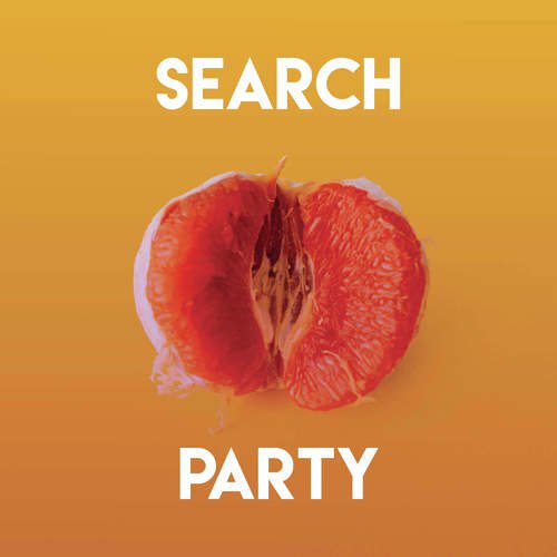 Search Party