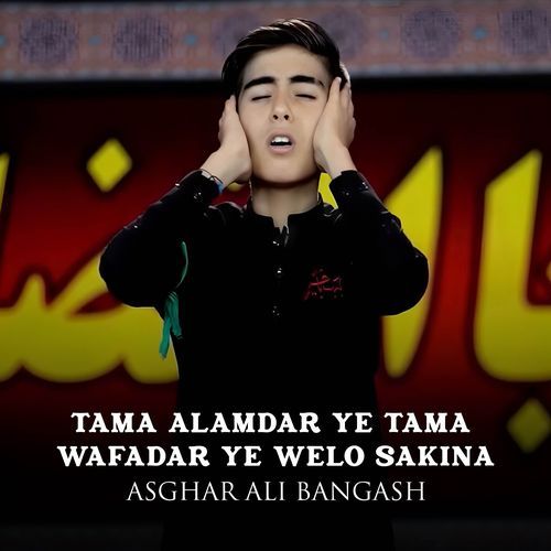 Tama Alamdar Ye Tama Wafadar Ye Welo Sakina