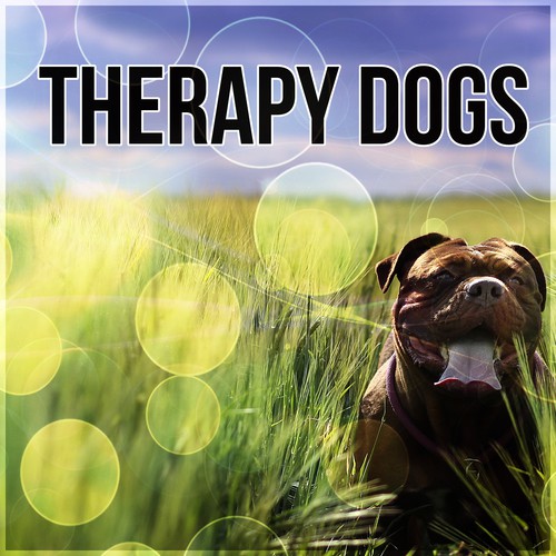 Therapy Dogs (Lullaby) cover art