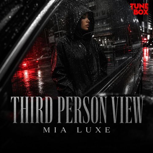 Third Person View
