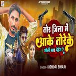 Tor Jila Me Aake Toreke Goli Maar Deim Re