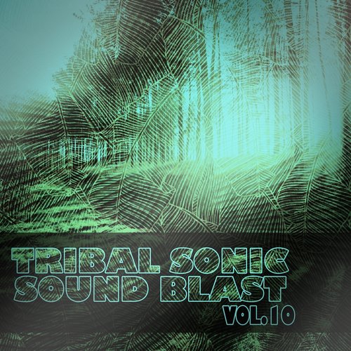 Tribal Sonic Soundblast,Vol.10