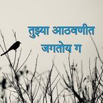 Tujhya Aathvanit Jagtoy G