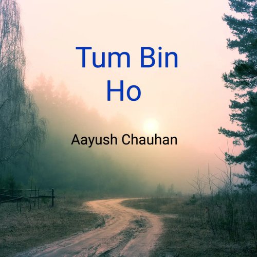 Tum Bin Ho_poster_image