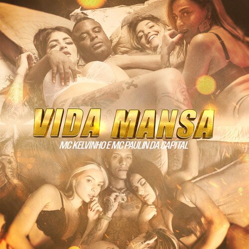 Vida Mansa_poster_image