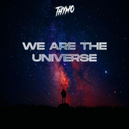 We Are The Universe