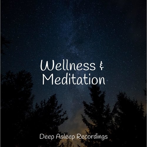 Wellness & Meditation