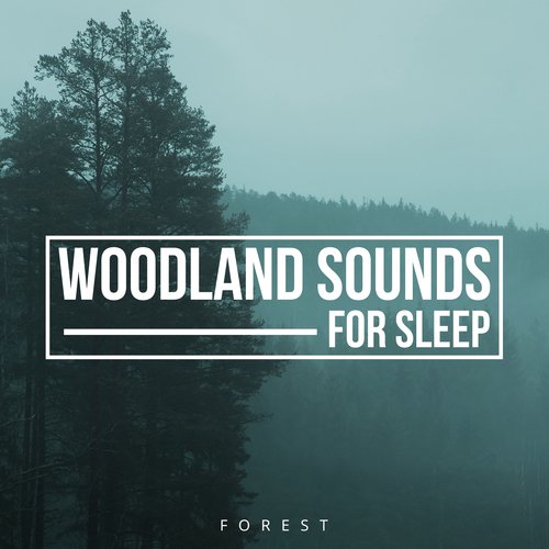 Woodland Sounds for Sleep