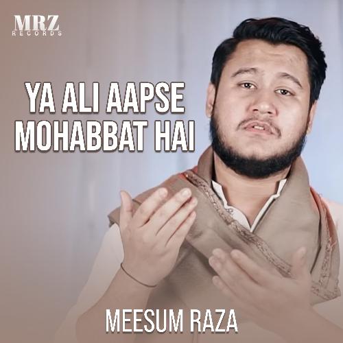 Ya Ali Aapse Mohabbat Hai