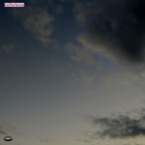 drowning in moonlight