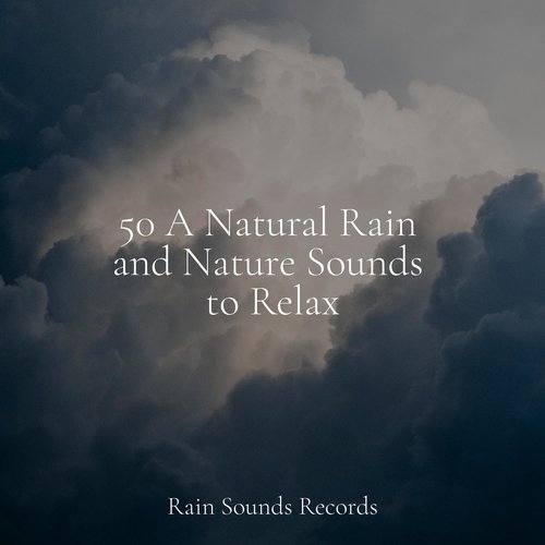 50 A Natural Rain and Nature Sounds to Relax