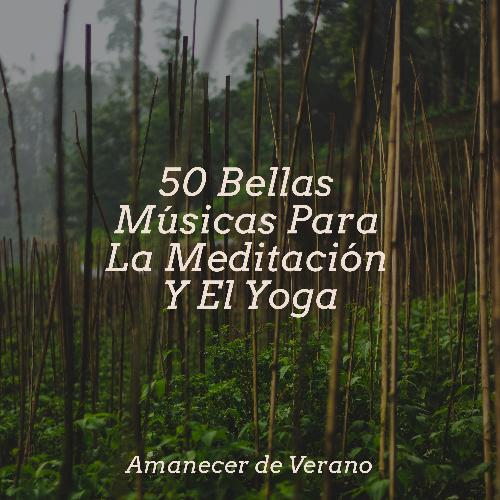 Vuelo de la Brasa cover art