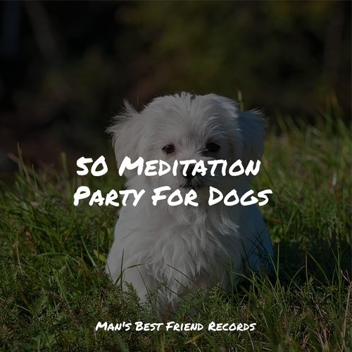 50 Meditation Party For Dogs_poster_image