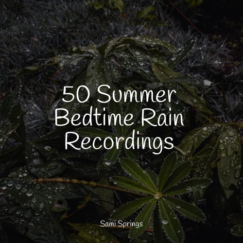 50 Summer Bedtime Rain Recordings_poster_image