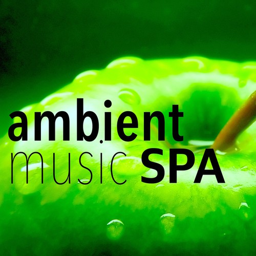 Ambient Music Spa - Collection 2016: Spa Background for Massage, Detox Sauna, Relaxation and Meditation, Chillout & Chillax for Relax and Drink Green Tea_poster_image