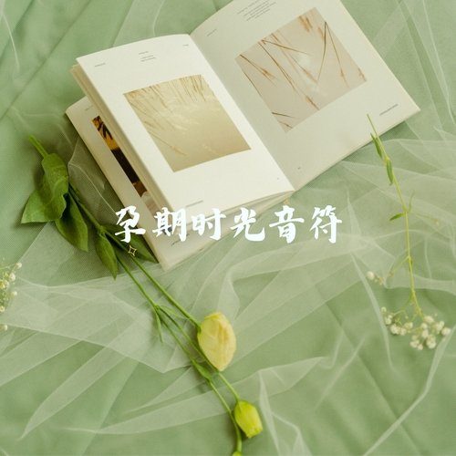 喜悦之孕的音符 (竖琴 摇篮) cover art