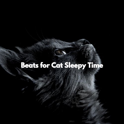 Beats for Cat Sleepy Time