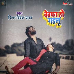 Bewafa Ho Gail-ESIgZyZaRwA