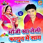 Bhauji Kha Leli Fagun Me Saag