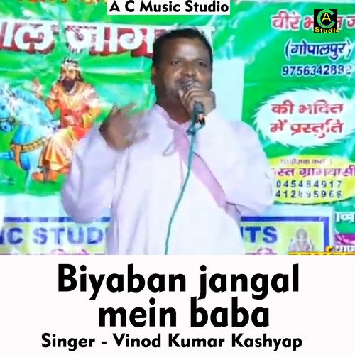 Biyaban jangal mein baba (Hindi Song)