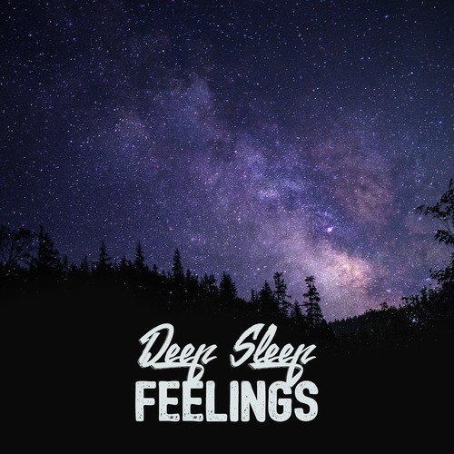 Deep Sleep Feelings_poster_image