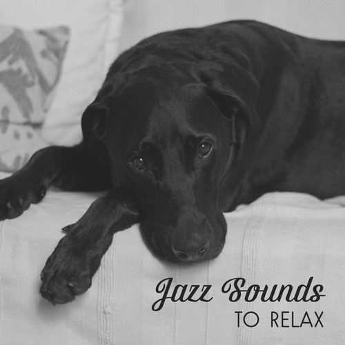 Jazz Sounds to Relax – Smooth Jazz Note, Music to Help You Relax, Night Jazz Club