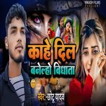 Kahe Dil Banelho Bidhata