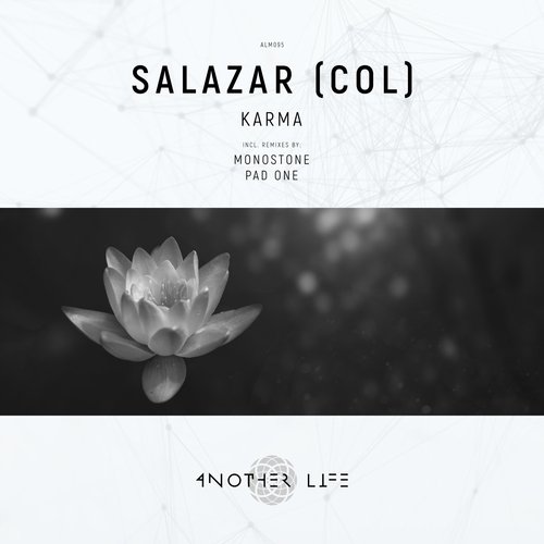 Karma (Pad One Remix) cover art
