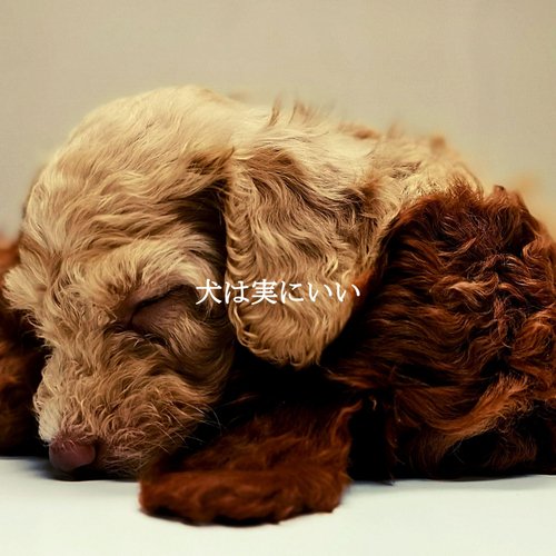 Sunny (Fun Workspaces) cover art
