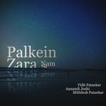 Palkein Zara Nam Si