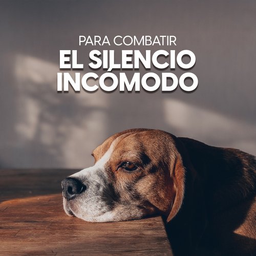 Para combatir el silencio incómodo