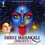 Shree Mahakali Chalisa (original)