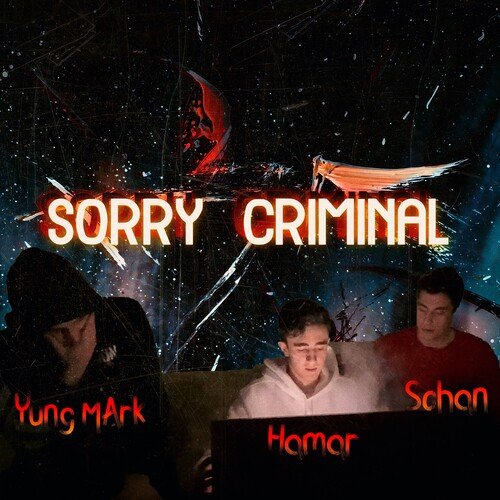 Sorry Criminal