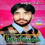 Shahenshah Bacha Tapay Vol-909 (Original Sound) artwork